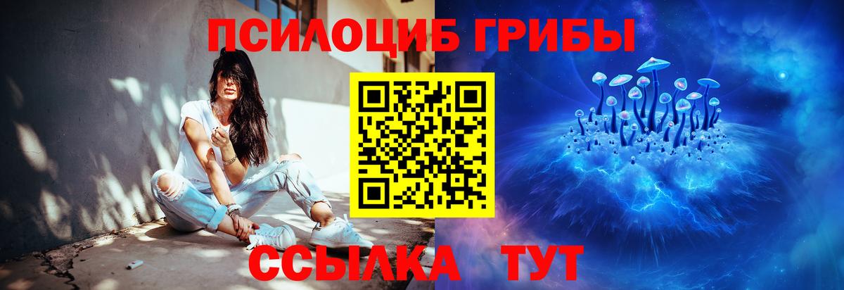Псилоцибиновые грибы MAGIC MUSHROOMS  Псилоцибиновые грибы GOLDEN TEACHER  где купить   Большой Камень  Вход с VPN 